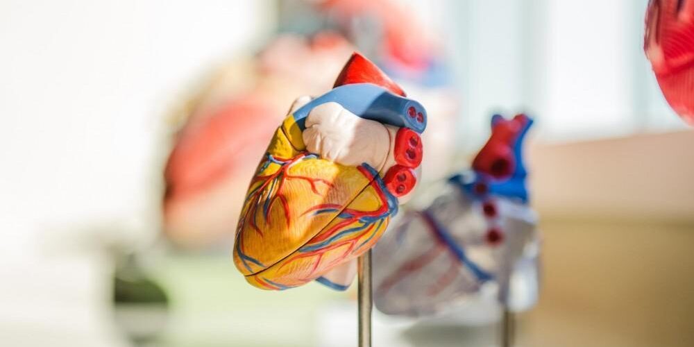 The Benefits of Patient Education in Managing Congestive Heart Failure