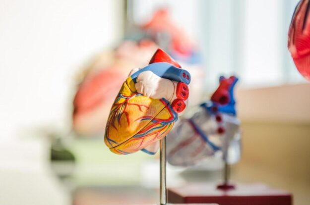 The Benefits of Patient Education in Managing Congestive Heart Failure