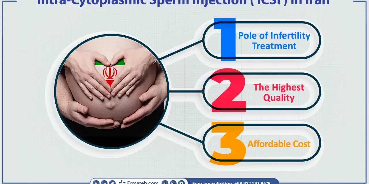 Understanding the Costs Involved in IVF Treatments Understanding the Costs Involved in IVF Treatments