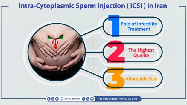 Understanding the Costs Involved in IVF Treatments Understanding the Costs Involved in IVF Treatments