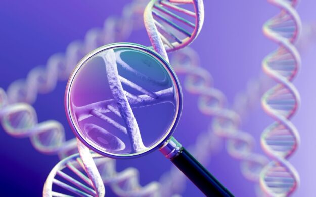 Understanding the Role of Genetic Counseling in Personalized Medicine