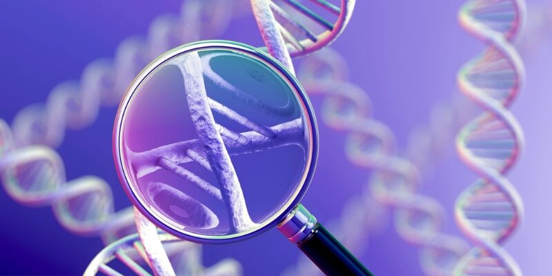 Understanding the Role of Genetic Counseling in Personalized Medicine