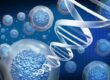 Exploring the Potential of Prolotherapy for Sports Injuries