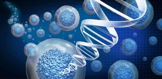 Exploring the Potential of Prolotherapy for Sports Injuries