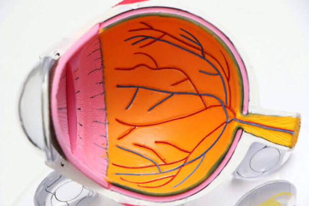 3 Signs You Need an Eye Exam