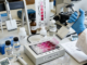The Role of Regular Cholesterol Screening